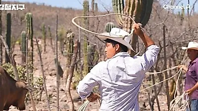チョン・ジョンヒョン、電波も届かぬメキシコ荒野へ…馬とロープで生きるバケロを追う